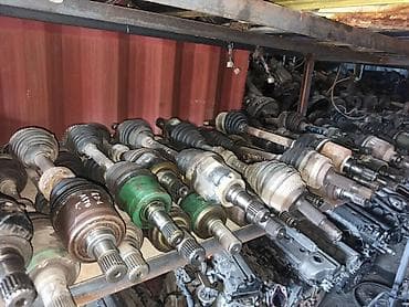 жили монжаро: Привозные приводы с Европы и с Японии — 1