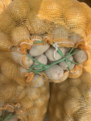 шкаф шифанер бу: Картошка Пикассо, Оптом — 2