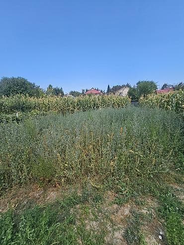 9 соток, Для строительства, Красная книга, Договор купли-продажи — 4