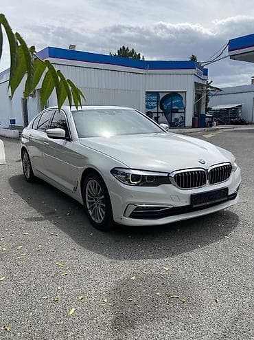 BMW 5 series: 2019 г., 2 л, Автомат, Бензин, Седан — 5