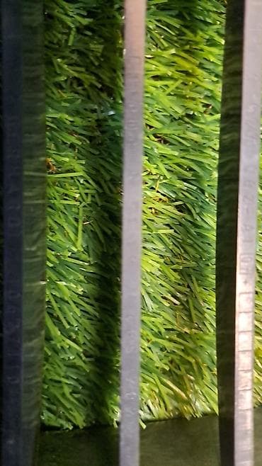 x5 e53: Решетка радиатора BMW 2006 г., Б/у, Оригинал — 4