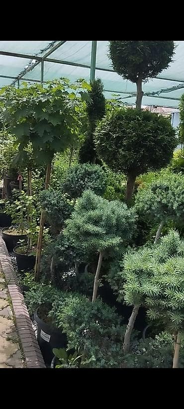 стройител: Дизайн | Дома — 5