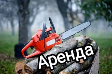 Электропила цепная Ара Адрес Ж/м пишпек ул. Аммосова 74