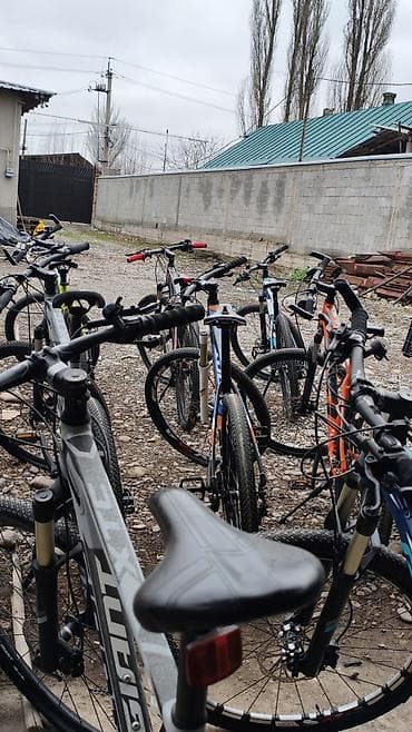 цена bmx: Горный велосипед, Giant, Алюминий — 3