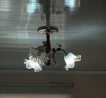 Потолочная люстра с декоративными плафонами в форме цветов. - Тип