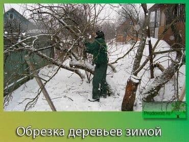 установка газового оборудования бишкек: ОБРЕЗКА САДОВЫХ ДЕРЕВЬЕВ ФОРМИРОВКА ПИЛИМ ДРОВА ВОЗМОЖНО ВЫЕЗД ПО — 7