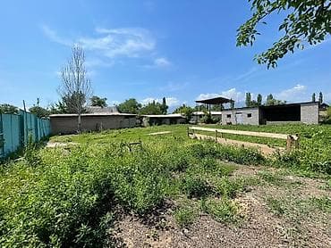 земля кемин: 8 соток, Для сельского хозяйства — 3