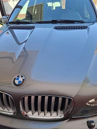 авто лейлек: BMW X5: 2006 г., 3 л, Автомат, Бензин, Кроссовер — 3