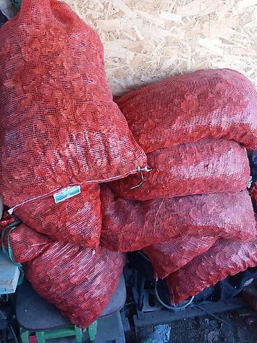 Эт азыктары: Сушёные яблоки в сетчатых мешках - Натуральные яблочные дольки без — 2