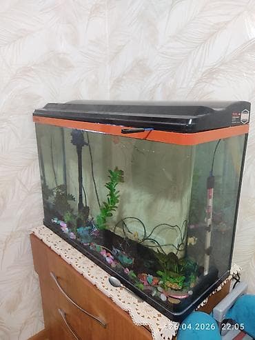 Животные: Аквариум комплект 100 л с крышкой и оборудованием .85 длина,50 — 4