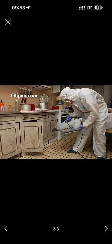 Дезинфекция, дезинсекция, | Муравьи, Блохи, Вирусы, микробы, | Квартиры, Офисы, Транспорт at lalafo.kg Дезинфекция, дезинсекция, | Муравьи, Блохи, Вирусы, микробы, | Квартиры, Офисы, Транспорт