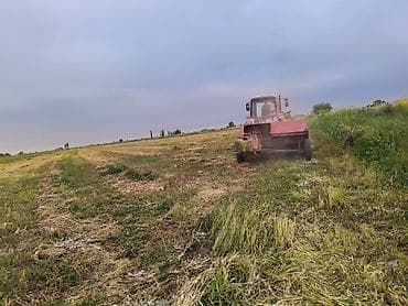 пчело пчёл: Срочно продам Сено в тюках (прямоугольные кипы) - Уборка сена с — 3