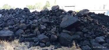 семена арбузы: Coal briquettes Акысыз жеткирүү — 3
