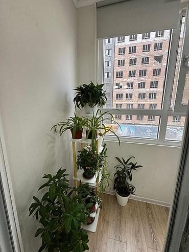 3 комнаты, 94 м², Элитка, 2 этаж, Евроремонт — 3