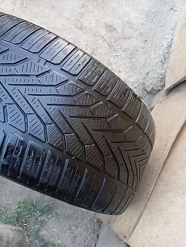 Шины 245 / 45 / R 17, Всесезонная, Б/у, 1 шт, Легковые, Германия, DUNLOP — 2