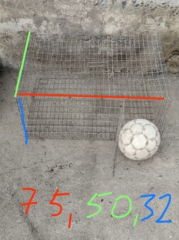 животные котенок: Клетка для птиц — 2