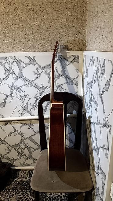 12 струн: Акустическая гитара типа дредноут с вырезом (cutaway), 6 струн. - — 3