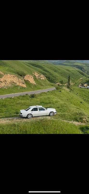водный мото: Mercedes-Benz W124: 1991 г., 2.5 л, Дизель, Седан — 5
