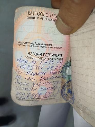 atego автовоз: Легкий грузовик, Mercedes-Benz, Стандарт, 3 т, Б/у — 4