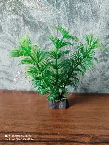 корм для кошек бишкек цена: Аквариум заводской, с крышкой 60 литров, со всеми комплектующими — 14