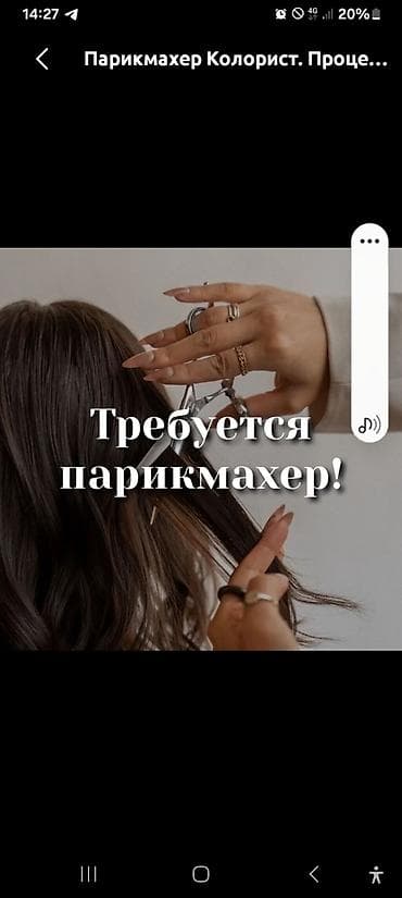 техник: Парикмахер Колорист. Процент — 1