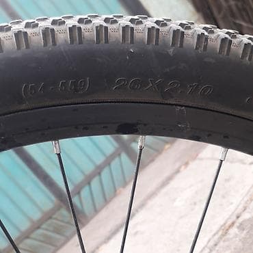 Спорт и хобби: Цена окончательная — 3