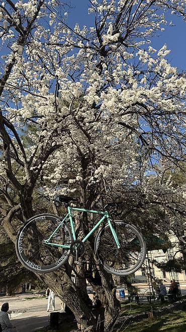 Велосипеды: Городской велосипед фикс/синглспид - Рама: стальная, размер — 5
