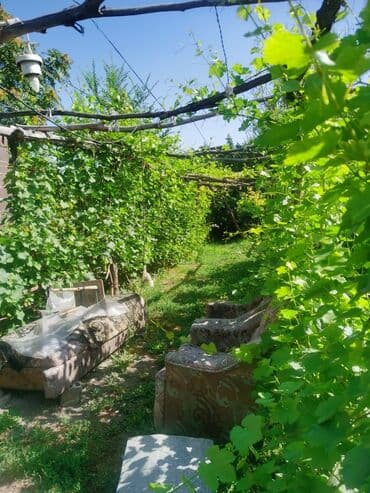 Үйдү ижарага алам: Үй, 1200 кв. м, 4 бөлмө, Менчик ээси, Косметикалык оңдоо — 20