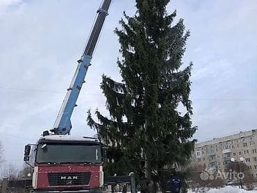 full construction: Стрела 14 м, 15 т, Борт 12 кг — 2