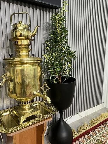 1001 роза: Комнатные крупномеры, готовые для озеленения интерьера. Состав: - — 7