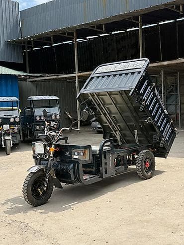 акумулятор 65: Мотороллер муравей Электро, 70 км, 1500 кг и более, Новый — 2