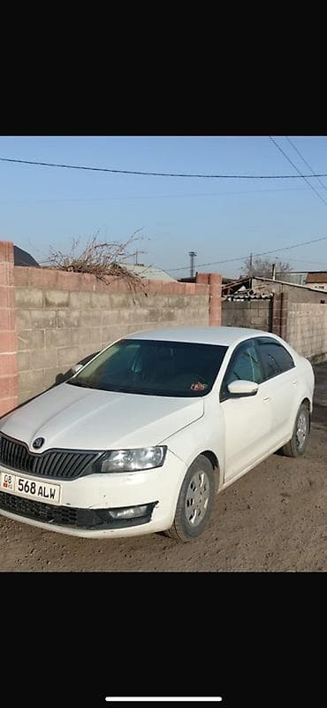 skoda rapid: Skoda Rapid: 2017 г., Седан — 1