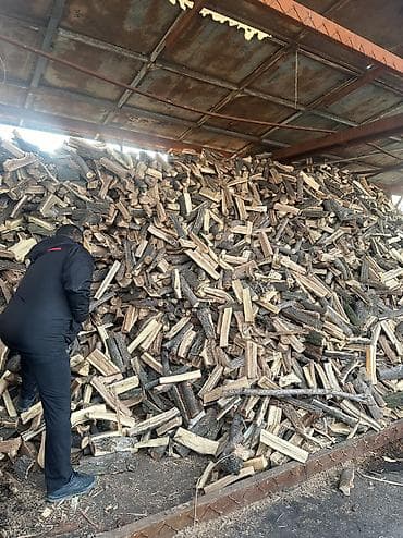 пл: Дрова — 4