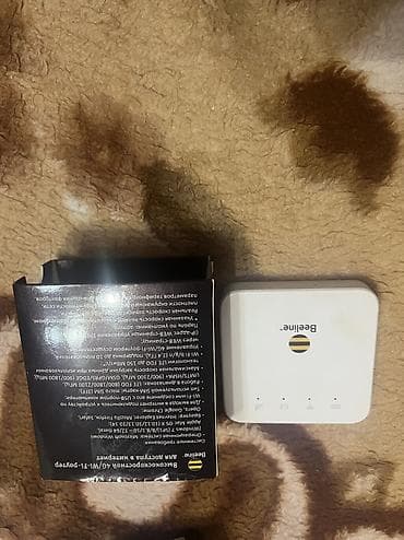 s 70: Роутер Билайн — 1