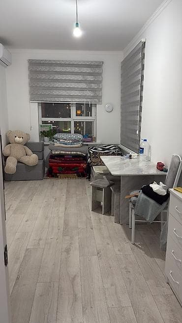 55 м², С мебелью