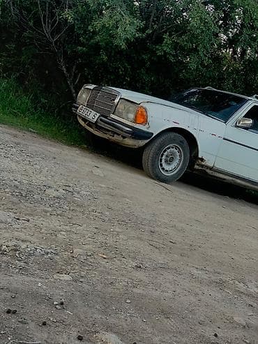 прозада авто: Mercedes-Benz W123: 1982 г., Универсал — 3