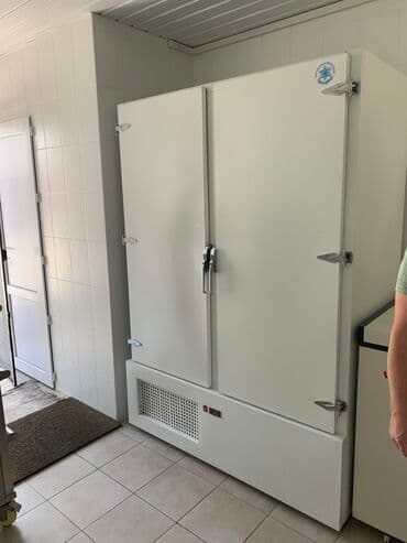 шоковая заморозка оборудование: Холодильники для кафе (промышленные) — 13