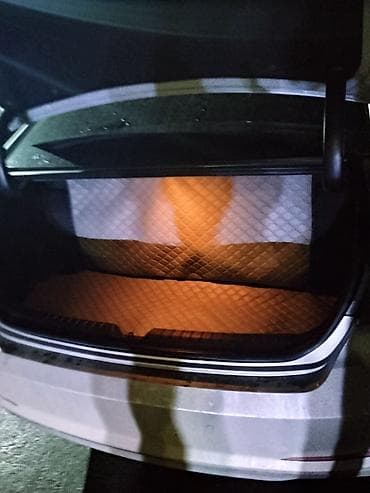 Скупка катализаторов: Органайзер Для багажника, цвет - Серый, Новый — 1