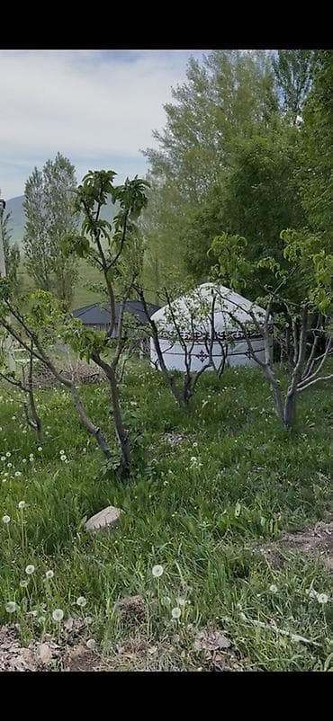 Спорт и хобби: Бишкек шаарынан 16 км аралыгында Арчалы айылында жайгашкан. Кымыз — 2