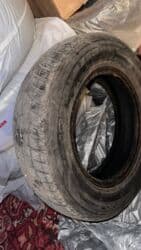 шинный центр бишкек прайс лист 2019: Шины — 1