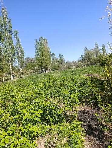 дом из держинка: Срочно Полтавкадан үй сатылат! трассанын жээгинде, ( Ош, Бишкек) — 4