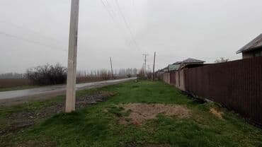 сыр камамбер цена бишкек: Эчкинин суту, эненин суту менен барабар дейт беле? таза чоп, таза — 3