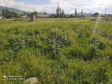 5 соток, Красная книга