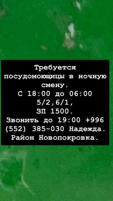 бишкек жумуш работа: Талап кылынат Идиш жуучу, Төлөм Бир айда эки жолу — 1