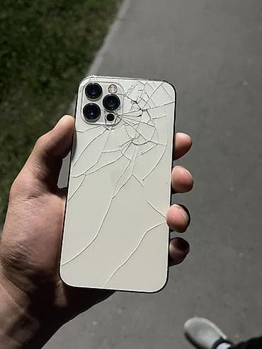 xiaomi 17: IPhone 12 Pro, 128 ГБ, Серебристый, 100 % — 3