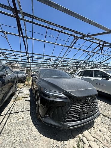Lexus RX 2: 2025 г., 2 л, Автомат, Бензин, Кроссовер — 3