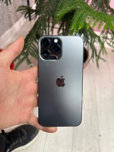 IPhone 13 Pro Max, Б/у, 256 ГБ, Графит, Защитное стекло, Чехол, 81 %