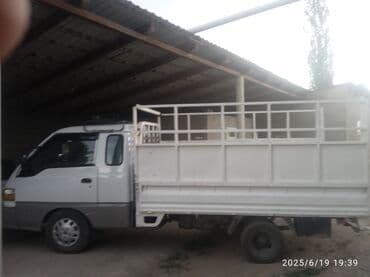 опель фронтера б: Hyundai Porter: 2002 г., 2.5 л, Механика, Дизель — 4