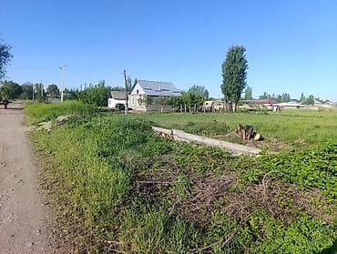 жумуш курулуш: 10 соток, Кызыл китеп — 5