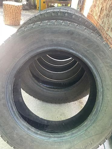 Транспорт: Комплект зимних шин Roadstone/Nexen Winguard (шипуемые) 195/65 R15 — 2